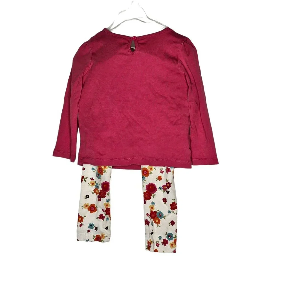 Gymboree Pumpkin Pals Outfit Set‎ Top Skirted Leggings 4T Applique